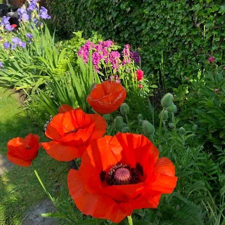 Rum i privatbostad Au Petit Chateau Tourcoing